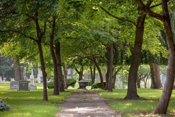 Elmwood Cemetery Tour Detroit Trees